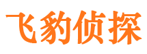 安陆市侦探调查公司